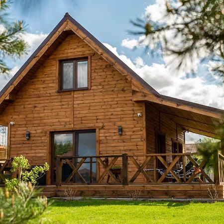 Villa Brzozowy Zakatek Dziemiany Exterior foto