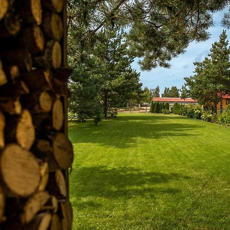 Villa Brzozowy Zakatek Dziemiany Exterior foto